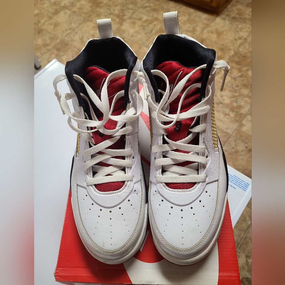 Air Jordan Flight 9.5